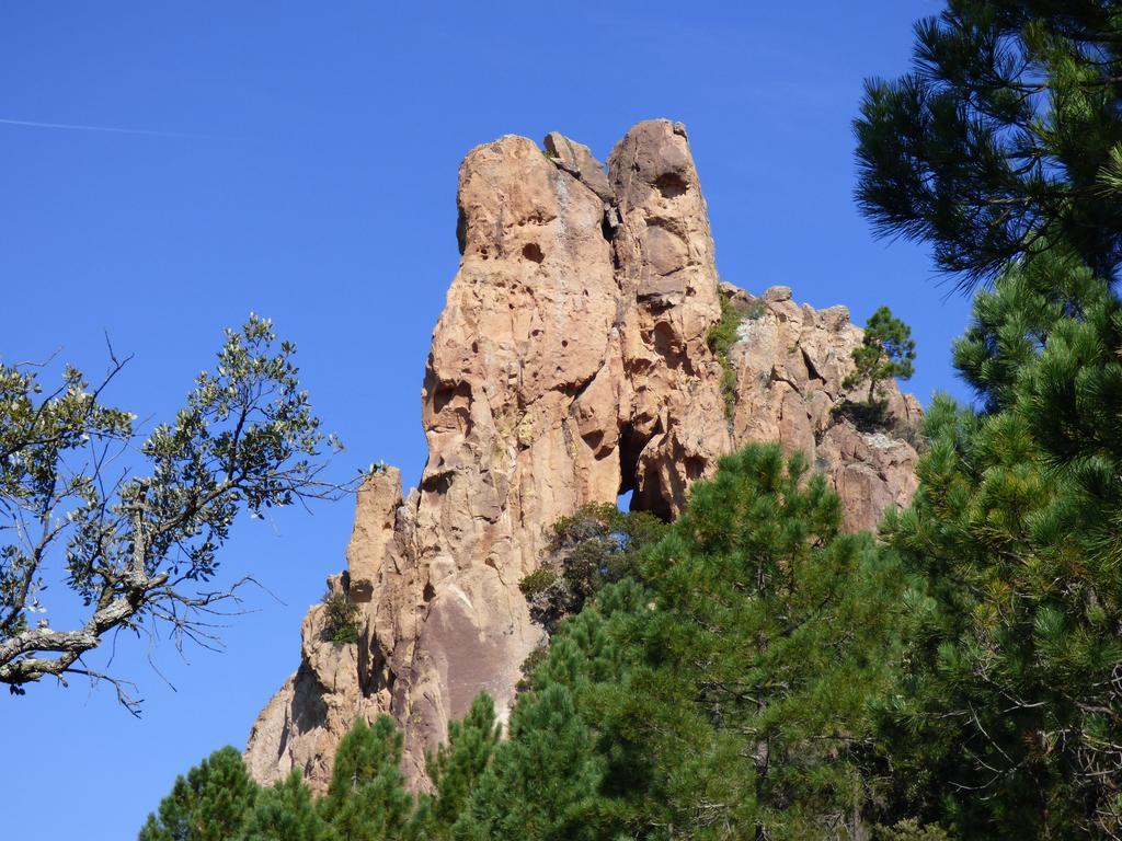 Chambres D'Hotes Vue Mer L'Esterel Panoramique Saint-Jean-de-l'Esterel Exterior foto